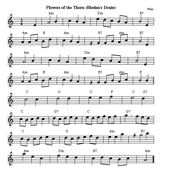 http://www.thursdaycontra.com/~spuds/tunes/couple/FlowersThorn.png