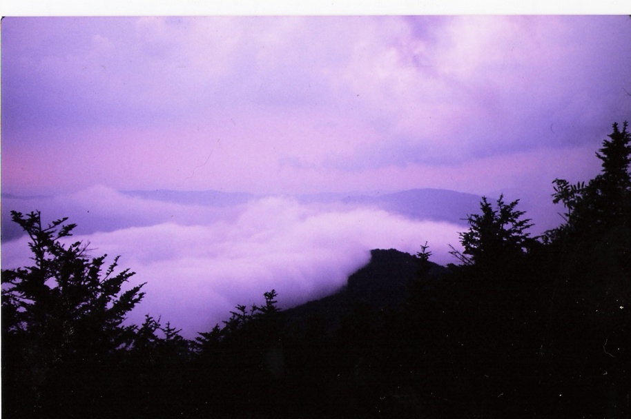 http://pics4.city-data.com/cpicc/cfiles17274.jpg