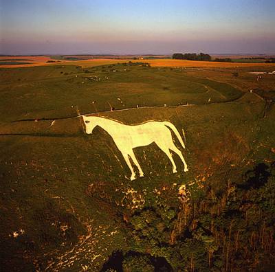 http://img93.imageshack.us/img93/7049/westburywhitehorse10fo.jpg